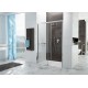 SANPLAST FREE ZONE drzwi prysznicowe 100x190cm wzór szyby W0 600-271-3110-38-401