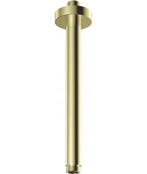 Deante Wylewka sufitowa - 250 mm NAC R42K