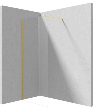 Deante Ścianka prysznicowa walk-in 110 cm KTJ Z31P