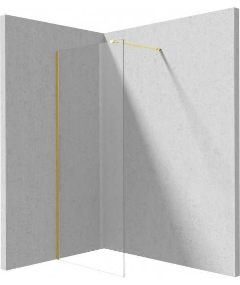 Deante Ścianka prysznicowa walk-in 110 cm KTJ Z31P