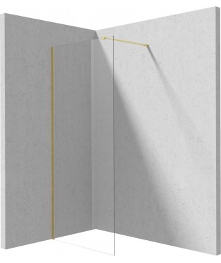 Deante Ścianka prysznicowa walk-in 110 cm KTJ R31P
