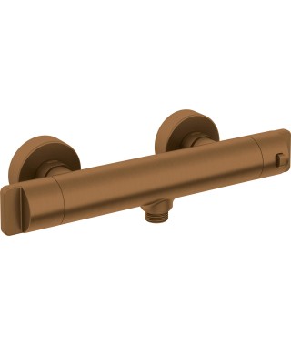 Deante Bateria prysznicowa termostatyczna BCH C4BT