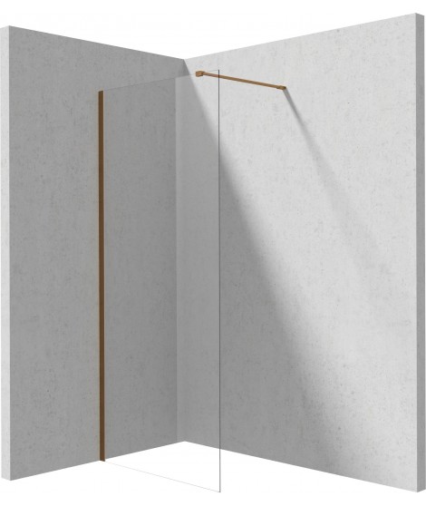 Deante Ścianka prysznicowa walk-in 110 cm KTJ C31P