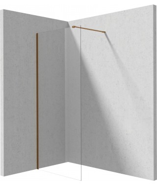 Deante Ścianka prysznicowa walk-in 100 cm KTJ C30P