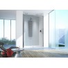 Drzwi prysznicowe 180-190cm D2/ALTII profil chrom/srebrny błyszczący. wzór szyby W0