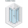 Drzwi prysznicowe 100 RIHO Fjord F203 lewe. szkło przezroczyste