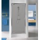 Drzwi prysznicowe 100x190cm SANPLAST DJ/TX5b. profil srebrny błyszczący. wzór szyby Grey